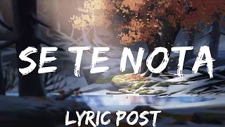 Lele Pons amp Guaynaa  Se Te Nota LetraLyrics  Music is for me [upl. by Emina]