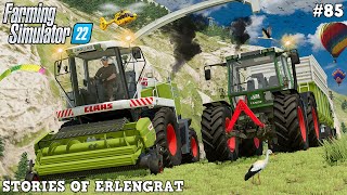 MULTIPLAYER  DANGEROUS GRASS HARVEST ON STEEP MEADOWS 🌿😱🚜💨  Erlengrat  FS22  Timelapse 85 [upl. by Bullard269]