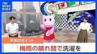 【7月4日 関東の天気】 梅雨の晴れ間で洗濯を｜TBS NEWS DIG [upl. by Anauqal]