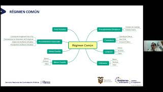 Taller virtual “Procedimientos de Regimen Comun” [upl. by Atiuqihc]