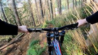 MSBX Trail top to bottom line 6 Bikepark Sankt Andreasberg [upl. by Holly-Anne]