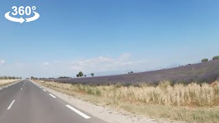 Driving around Lavender fields in Valensole Provence in Mini 360 video [upl. by Ytiak777]