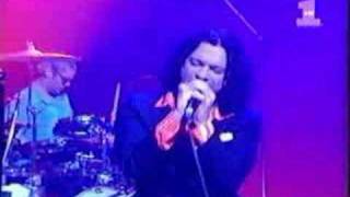 Inxs  Elegantly Wasted Live [upl. by Delwyn422]