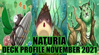 NATURIA DECK PROFILE NOVEMBER 2021 YUGIOH [upl. by Ettenay]