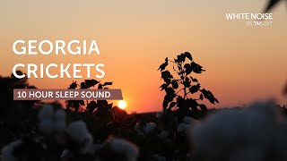 Georgia Summer Evening Crickets amp Katydids  10 Hours Sleep Sound  Black Screen [upl. by Anrol]