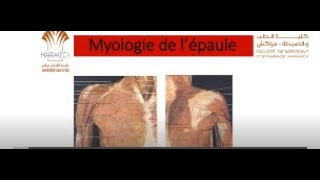 ANATOMIE FMPM MYOLOGIE DE L’ÉPAULE [upl. by Idnar]