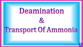 4 Deamination amp transport of Ammonia  Amino Acid Metabolism  Biochemistry  NJOY Biochemistry [upl. by Zachery]