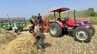 Mahindra Arjun NOVO 605 Di 4x4 Tractor with Paddy Thresher  John Deere 5050 D Tractor with Trolley [upl. by Inhoj]