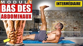 Séance HIIT de 10 Minutes pour le BAS des ABDOMINAUX  Niveau INTERMÉDIAIRE [upl. by Obellia]