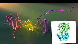 Protein test biuret test biuret principle [upl. by Cartan]