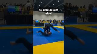 Jiu jitsu em alto nível bjj [upl. by Ninahs]