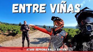 🔥 OFFROAD entre Viñedos en el Bierzo  Overlanders Canallas 2  Seprona Rally Edition [upl. by Voss]