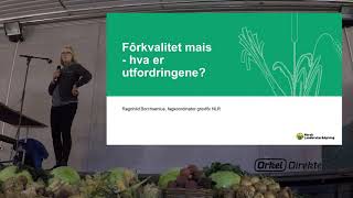 Ragnhild Borchsenius fra Norsk Landbruksrådgiving  Fôrkvalitet i mais  Silo  Rundball [upl. by Annuahs839]