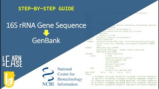 A StepbyStep Guide to Upload Bacterial 16S rRNA Gene Sequence to GenBank [upl. by Vigen]