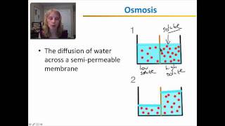 Diffusion and Osmosis [upl. by Seel]