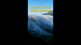 Cloud waterfall flows down Chinas Jinfoshan Mountain [upl. by Ridinger528]