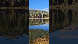 Mallards at RMNP Sprague Lake Sept 16 2024 [upl. by Odnalra]