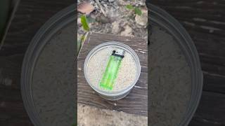 single mom show skills keep the lighter in wild bushcraft outdoor camping survival lifehacks [upl. by Arick]