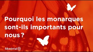 Pourquoi les monarques sontils importants pour nous [upl. by Sobel992]