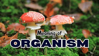 What is the meaning of Organism [upl. by Aika]