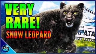 The RAREST Snow Leopard Ive Ever Seen  theHunter Call of the Wild [upl. by Tillion]