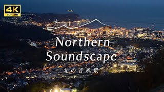 【小樽天狗山】北海道三大夜景の1つ！明かりが灯る小樽の街を眺める【風景】 [upl. by Schargel361]