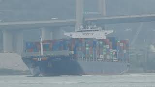 Container Ship《HEMMA BHUM》 under Tsing Ma Bridge 20241205 [upl. by Alake549]