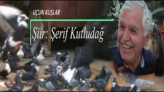 Şerif Kutludağ  Uçun Kuşlar  şiir Adile Kurt Karatepe  Turnam Bizim Ele Varırsan [upl. by Syah]