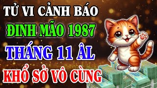 Vận Trình Tháng 11 Âm Lịch Tuổi ĐINH MÃO 1987 Làm Gì Cũng Phải Thận Trọng Sơ Hở Là Mất Trắng [upl. by Geoff]