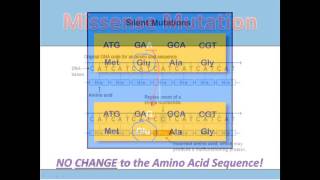 Substitution Mutations [upl. by Feinleib]