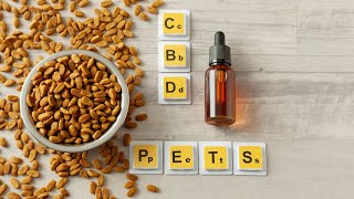 How To Choose Safe and Healthy CBD Products for Your Pet [upl. by Anihc819]