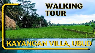 A Walk Through Paradise Kayangan Villa Ubud Bali [upl. by Eenel]