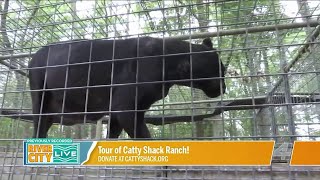 A Tour of Catty Shack Ranch Wildlife Sanctuary  River City Live [upl. by Suzy]