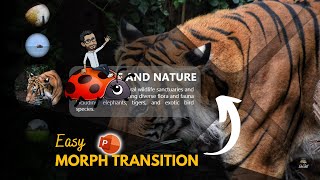 Morph Transition PowerPoint Masterclass [upl. by Pogue]