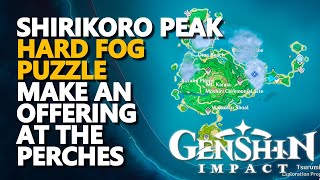 Shirikoro Peak Mist Puzzle Find Your Way through the mist Genshin Impact [upl. by Vogele]