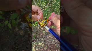 Micro Pen Fishing Rod Test on backyard Pond fishing pondlife bassfishing pondfishing ponds [upl. by Avra]