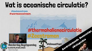 Wat is oceanische circulatie donderdagbegrippendag [upl. by Gleich]