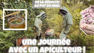 COMPRENDRE L’APICULTURE 🥰😍 [upl. by Htederem]