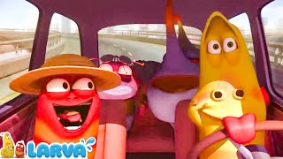 Larva Season 3 🍟Cartoons  Viagem 🥟 Cartoon Comedy 2020 🍟The newest compilation 2022 [upl. by Cloris]