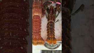 Types of Crayfish Benjie Gonzales tv [upl. by Aehtela251]