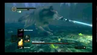 Beating Great Grey Wolf Sif Without Shield  Deaths  Dark souls [upl. by Zapot]