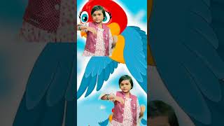 Chidiya Rani Badi Sayani  Rhymes  Chidiya Rani  Shahid Shadika [upl. by Anyal]