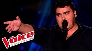 Jacques Brel  Ces gens là  Yoann Launay  The Voice France 2015  Blind Audition [upl. by Marianne]