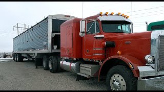 peterbilt 359 rebuild ep 17 [upl. by Svetlana]