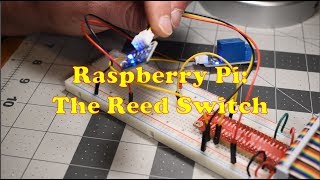 Raspberry Pi Reed Switch [upl. by Dunkin]