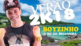 BOYZINHO O REI DA BREGADEIRA  VERÃO 2018  AQUECIMENTO DAS POTRANCAS REPERTÓRIO NOVO [upl. by Ilonka854]