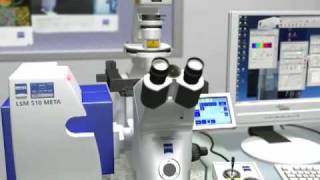 LSCM Zeiss 510 Meta  Dr Othon Gervasio  3D Scientific Animation [upl. by Nidroj]