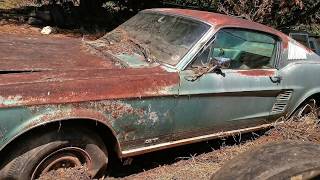 1967 Mustang 390 GT Fastback Barn Find Parked Since 1973 Price Revealed [upl. by Tezzil]