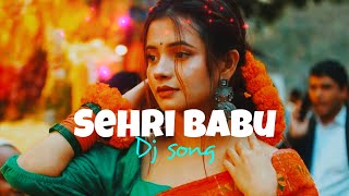 Sehri Babu Dil Lehri Babu 🥀 Dj Remix 🎧  Hindi Song [upl. by Aehtna272]