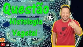 Tecidos Vegetais  Questão  Histologia Vegetal  Botânica [upl. by Lotta562]